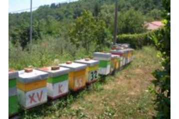 Taliansko Privát Giovagallo di Tresana, Exteriér